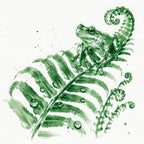 Green ink-style illustration of a frog perched on a fern frond with dew drops, on a white background.