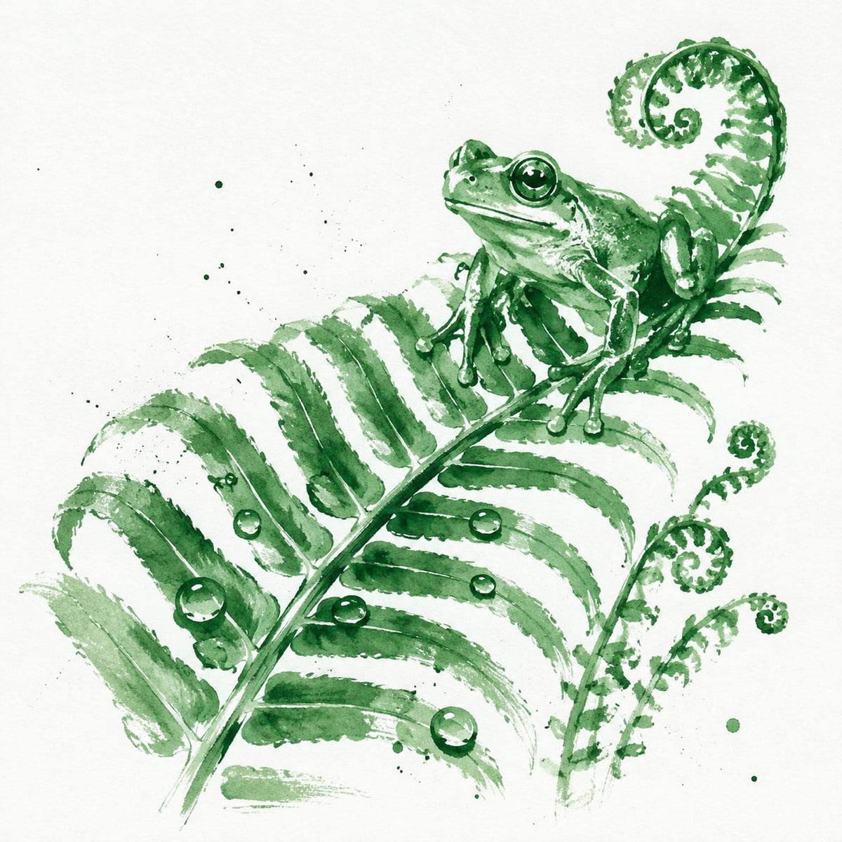 Green ink-style illustration of a frog perched on a fern frond with dew drops, on a white background.