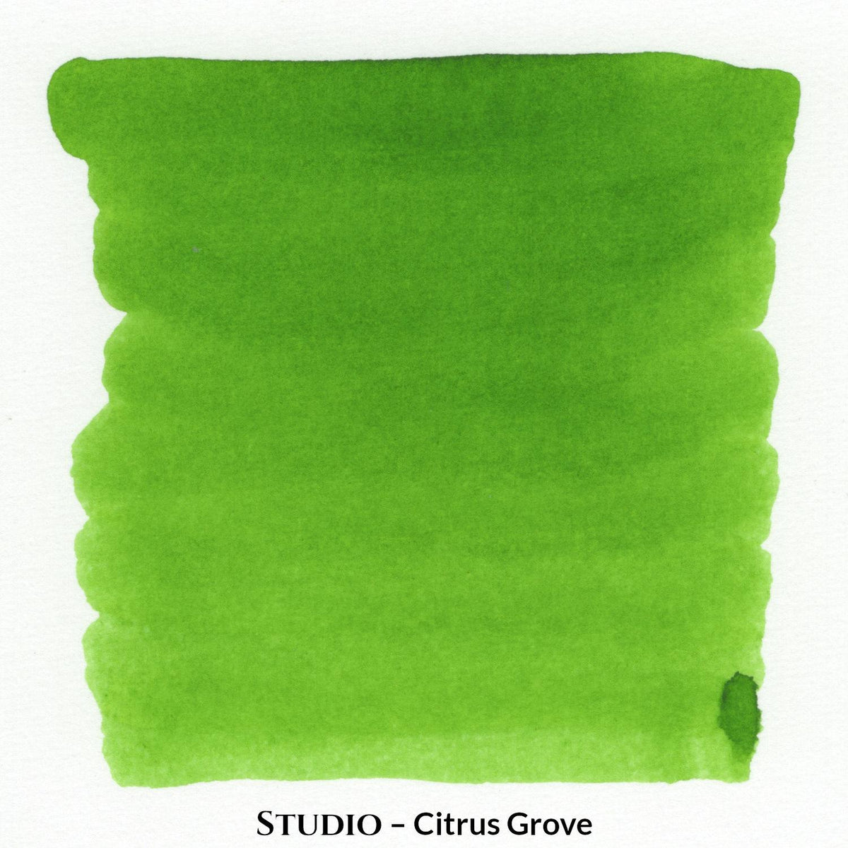 Inkforge Studio Citrus Grove bright green fountain pen ink in a 30 ml bottle