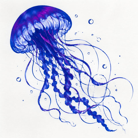 Ink painting of a jellyfish with a blue body with magenta sheen and trailing tentacles on a white background.